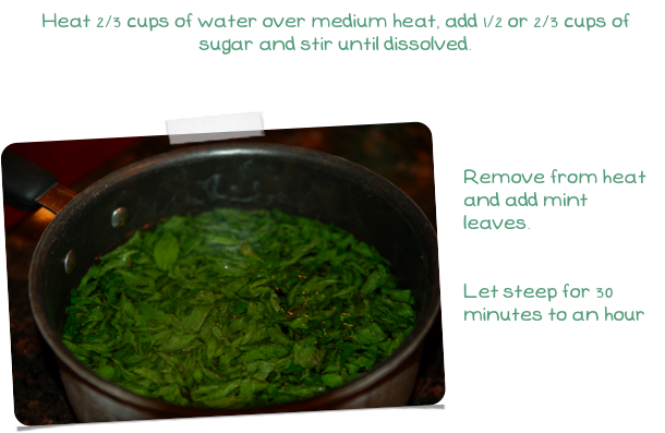 Mint Simple Syrup- Happiness Homemade