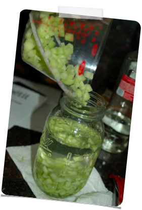 Cucumber Vodka- Happiness Homemade